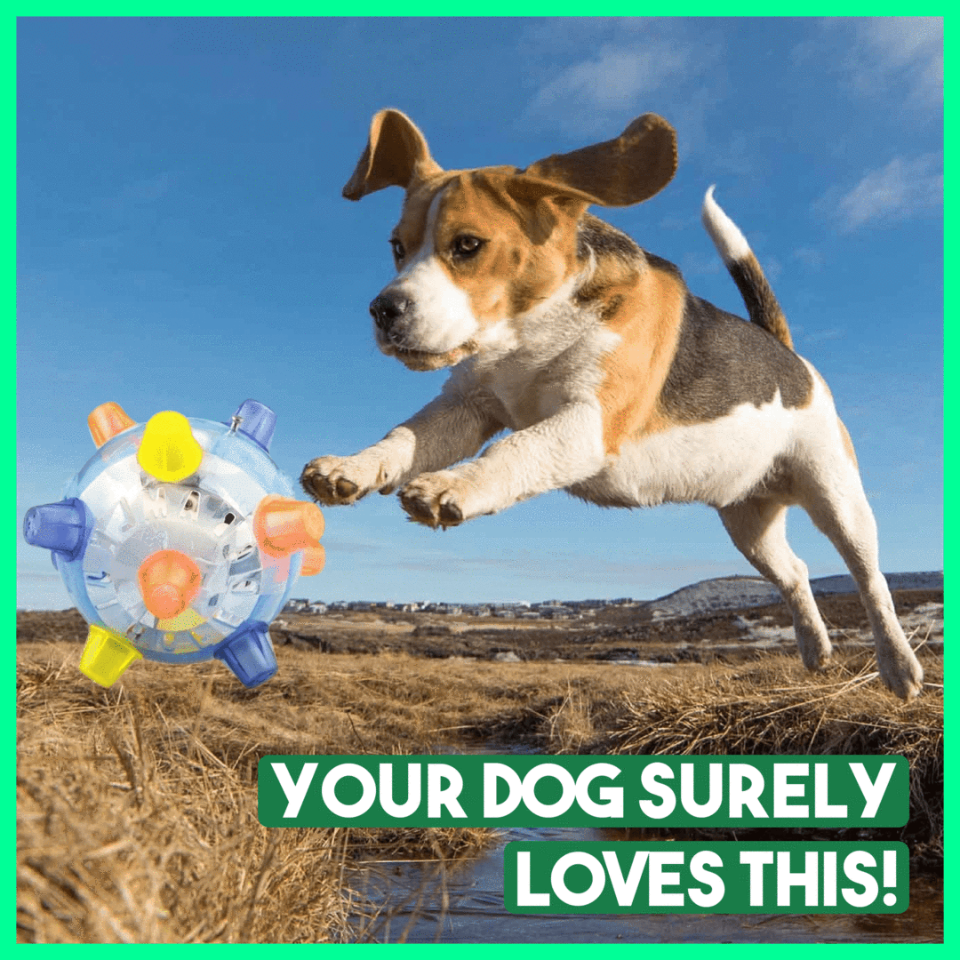 š„Hot Saleš¶Jumping Activation Ball for Dogsš„