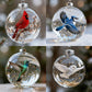 🔥LAST DAY 50% OFF🐦Nature's Birds Crystal Glass Ornament Gift Set