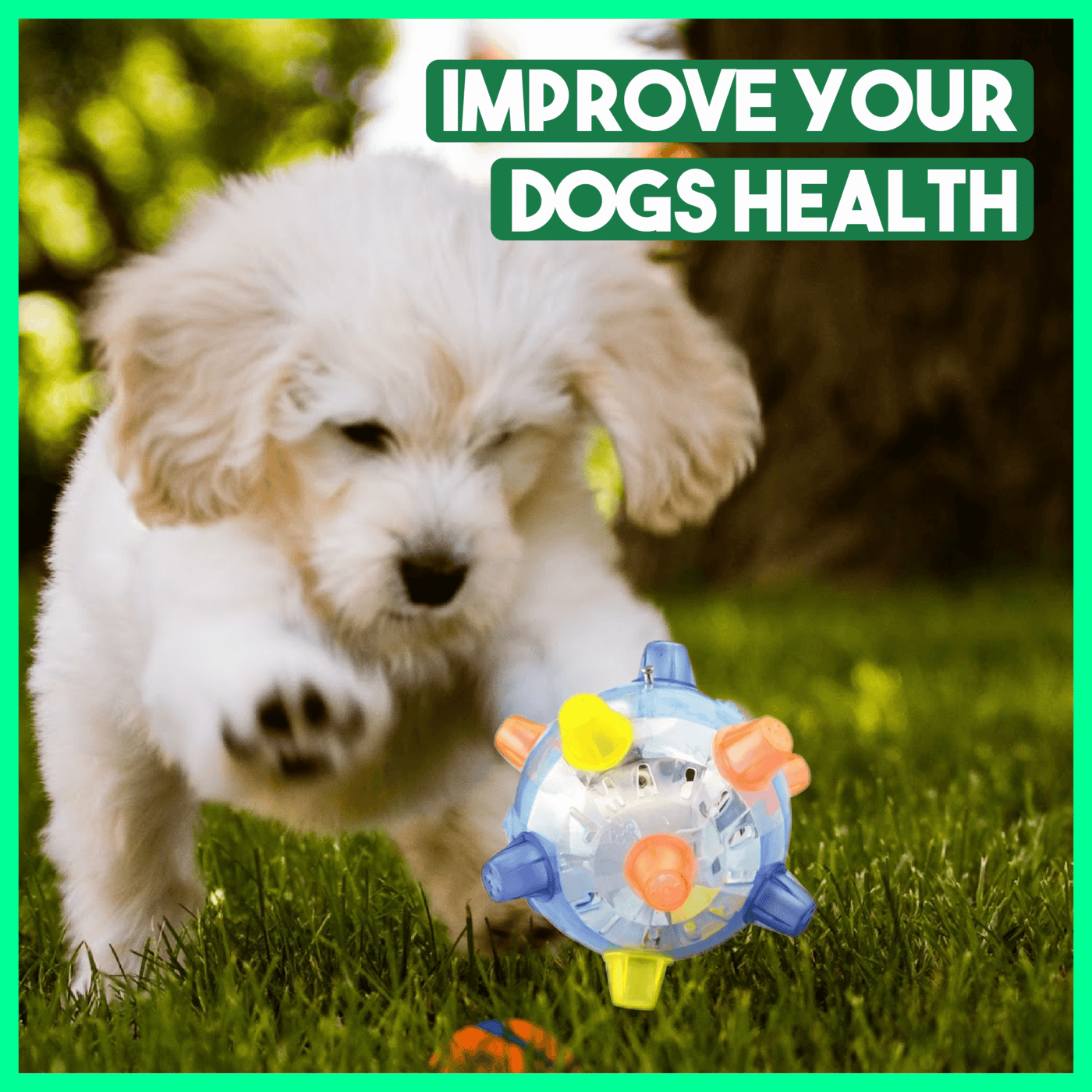 💥Hot Sale🐶Jumping Activation Ball for Dogs🥎