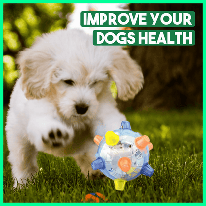 💥Hot Sale🐶Jumping Activation Ball for Dogs🥎