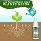 ⏰🔥LIMITED TIME 50% OFF!  🔥🔥Plant Nutrient Solution