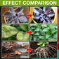 ⏰🔥LIMITED TIME 50% OFF!  🔥🔥Plant Nutrient Solution