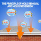 ⏳Limited-time 50% off⏰Highly Effective Mould Removal Spray