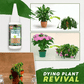 ⏰🔥LIMITED TIME 50% OFF!  🔥🔥Plant Nutrient Solution