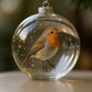 🔥LAST DAY 50% OFF🐦Nature's Birds Crystal Glass Ornament Gift Set