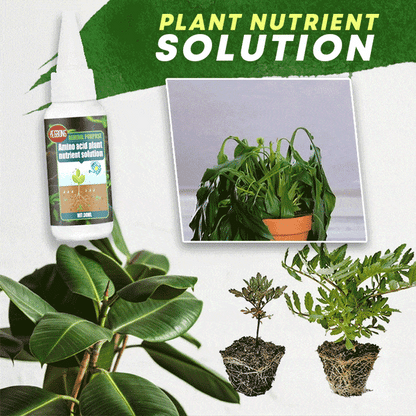 ⏰🔥LIMITED TIME 50% OFF!  🔥🔥Plant Nutrient Solution