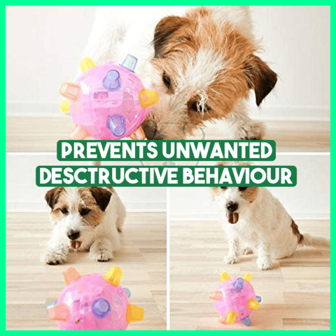 💥Hot Sale🐶Jumping Activation Ball for Dogs🥎