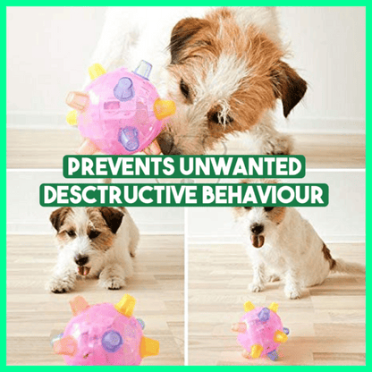 💥Hot Sale🐶Jumping Activation Ball for Dogs🥎