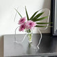 Transparent Butterfly-Inspired Decorative Vase