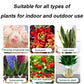 🌳Buy 3 Get 7 Free👍Plant and Flower Activation Liquid Solution💥