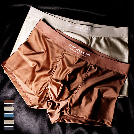 🔥BUY 1 GET 1 Free🔥Men's Satin Ice Silk Briefs