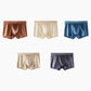 🔥BUY 1 GET 1 Free🔥Men's Satin Ice Silk Briefs