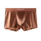 🔥BUY 1 GET 1 Free🔥Men's Satin Ice Silk Briefs