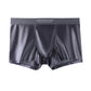 🔥BUY 1 GET 1 Free🔥Men's Satin Ice Silk Briefs