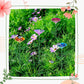Bee and Butterfly Water Feeder with Flower Design