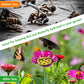 Bee and Butterfly Water Feeder with Flower Design
