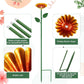 Bee and Butterfly Water Feeder with Flower Design