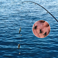 Multi-Hook Artificial Fly Fishing Lure Set