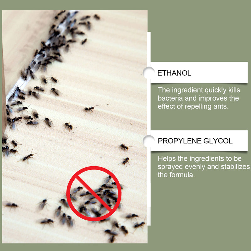 Multipurpose Powerful Ant Repellent Spray