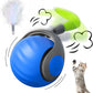 🐱🐶Interactive Rechargeable Cat Toy Ball🔥