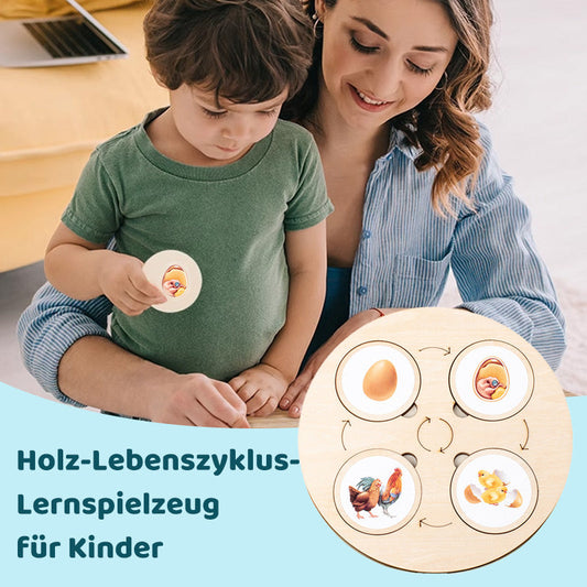 Wooden Life Cycle Learning Toy for Children