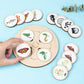 Wooden Life Cycle Learning Toy for Children