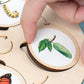 Wooden Life Cycle Learning Toy for Children