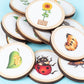 Wooden Life Cycle Learning Toy for Children