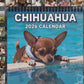 😻📆New Year Hot Sale 49% OFF🔥💥-2026 Fun Animal Wall Calendar - 12 Months
