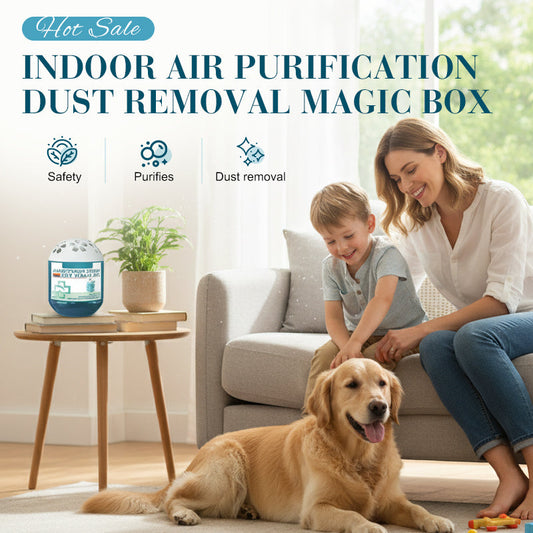⌛Only 3 days left – 59% off everything! ⏰Indoor Air Purification Dust Removal Magic Box