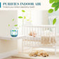 ⌛Only 3 days left – 59% off everything! ⏰Indoor Air Purification Dust Removal Magic Box