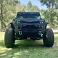 Beast Eyes Headlight Decals (1 Pair)
