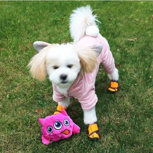 🎅Pre-Xmas Sale🔥Trembling Monster Dog Active Ball🎄