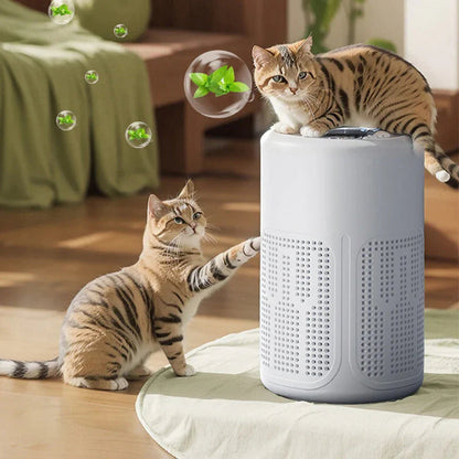 🍃 50% OFF NOW!💨 Compact Home Air Purifier – Quiet & Energy-Efficient – Allergies & Pet Hair Solution 🏠