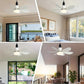 🔥sale-73%OFF-🎁2-IN-1 PORTABLE CEILING FAN & LIGHT with Remote Control