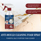 📢📢Buy 5 get 5 free ⏰Anti-Mould Cleaning Foam Spray