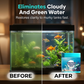 ⏳Limited-time 50% off⏰dHigh-Efficiency Aquarium Water Purification Tablets🐟