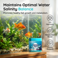 ⏳Limited-time 50% off⏰dHigh-Efficiency Aquarium Water Purification Tablets🐟