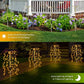 🌸🔆 Solar Powered Garden Lights – Color Changing LED, Energy Saving, No Wiring. Create a Magical Night Ambience for Your Yard or Flower Bed. 🌙🌺🪴