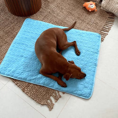 🏆 Last Day Special Price £7.99 ! 🔥Dog Cooling Mat (4x more effective)