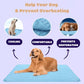 🏆 Last Day Special Price £7.99 ! 🔥Dog Cooling Mat (4x more effective)