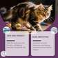 Effective Pets Odor Eliminator Spray 🐱 Long-Lasting Freshness, Not Just Masking Odors 🍃