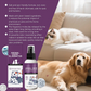 Effective Pets Odor Eliminator Spray 🐱 Long-Lasting Freshness, Not Just Masking Odors 🍃